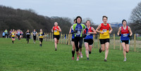 Hertfordshire County Cross Country Championships 2012  _ 174212