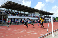 British Athletics League Premiership 2012 _ 174957