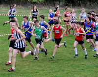 Hertfordshire County Cross Country Championships 2012  _ 174408