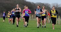 Hertfordshire County Cross Country Championships 2012  _ 174217