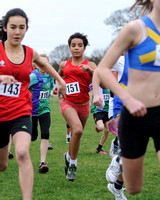 Hertfordshire County Cross Country Championships 2012  _ 174328