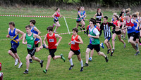 Hertfordshire County Cross Country Championships 2012  _ 174410