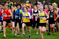 Hertfordshire County Cross Country Championships 2012  _ 174200