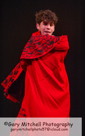 Flamenco _34321