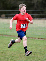 Hertfordshire County Cross Country Championships 2012  _ 174257