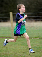 Hertfordshire County Cross Country Championships 2012  _ 174255