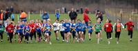 Hertfordshire County Cross Country Championships 2012  _ 174267