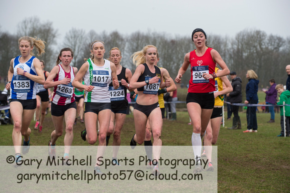 Snr Women _ Inter Counties 2017 _   212578
