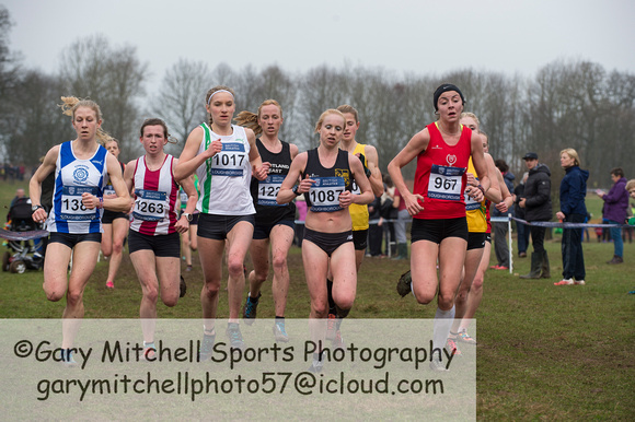 Snr Women _ Inter Counties 2017 _   212576