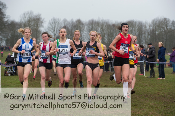 Snr Women _ Inter Counties 2017 _   212575