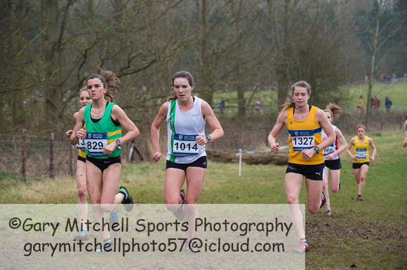 Snr Women _ Inter Counties 2017 _   212553