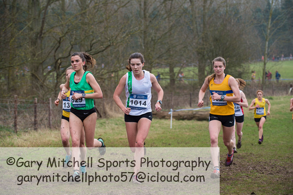 Snr Women _ Inter Counties 2017 _   212552