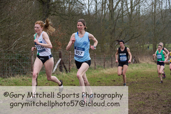 Snr Women _ Inter Counties 2017 _   212542