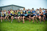 Chiltern League X Country, Luton _ 346568