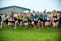 Chiltern League X Country, Luton _ 346567