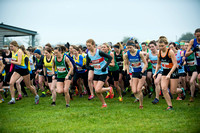Chiltern League X Country, Luton _ 346566