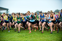 Chiltern League X Country, Luton _ 346565