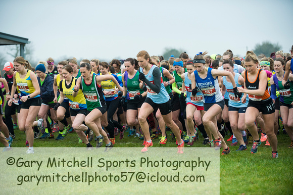 Chiltern League X Country, Luton _ 346564