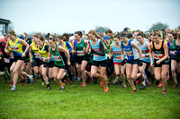 Chiltern League X Country, Luton _ 346563