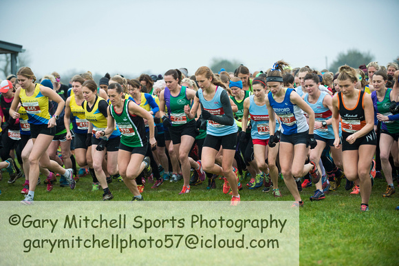 Chiltern League X Country, Luton _ 346563