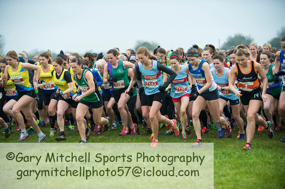 Chiltern League X Country, Luton _ 346562