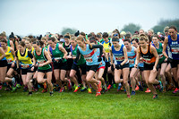 Chiltern League X Country, Luton _ 346560
