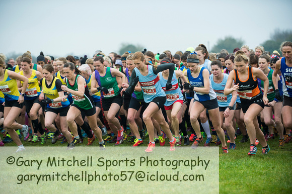 Chiltern League X Country, Luton _ 346561