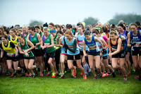 Chiltern League X Country, Luton _ 346559