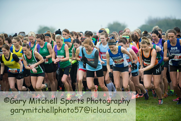 Chiltern League X Country, Luton _ 346559