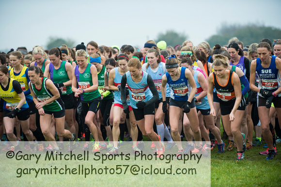 Chiltern League X Country, Luton _ 346558