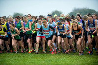 Chiltern League X Country, Luton _ 346557