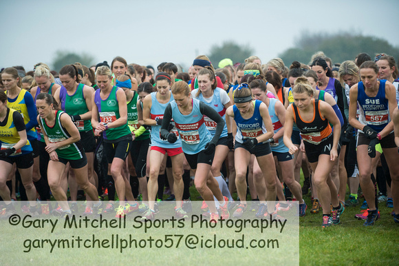 Chiltern League X Country, Luton _ 346557