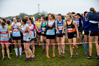 Chiltern League X Country, Luton _ 346554