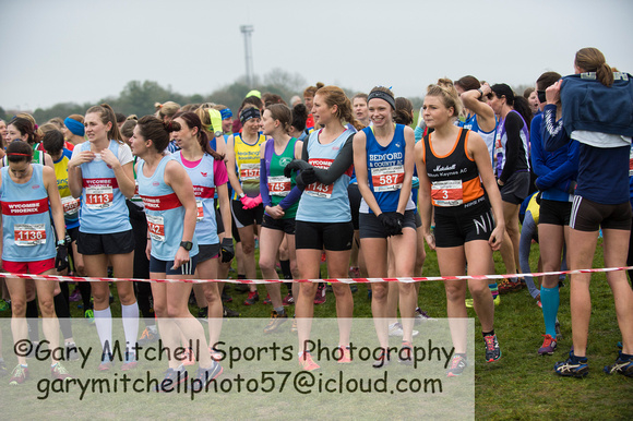 Chiltern League X Country, Luton _ 346554