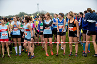 Chiltern League X Country, Luton _ 346553