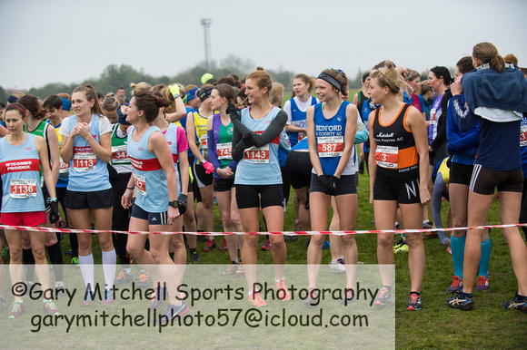 Chiltern League X Country, Luton _ 346553