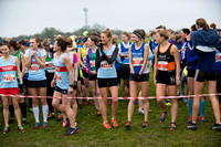 Chiltern League X Country, Luton _ 346552