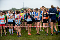 Chiltern League X Country, Luton _ 346551