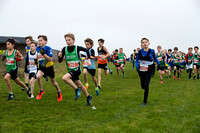 Chiltern League X Country, Luton _ 345107