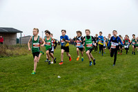 Chiltern League X Country, Luton _ 345103