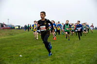 Chiltern League X Country, Luton _ 345098