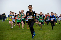 Chiltern League X Country, Luton _ 345096