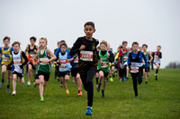 Chiltern League X Country, Luton _ 345093