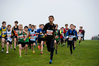 Chiltern League X Country, Luton _ 345091