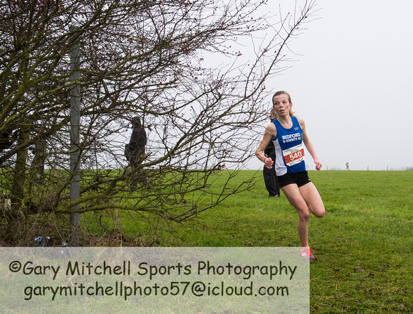Chiltern League X Country, Luton _ 346071