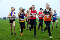 Chiltern League X Country, Luton _ 346069