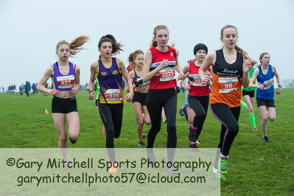 Chiltern League X Country, Luton _ 346068