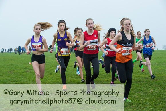 Chiltern League X Country, Luton _ 346067