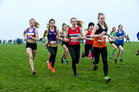 Chiltern League X Country, Luton _ 346066