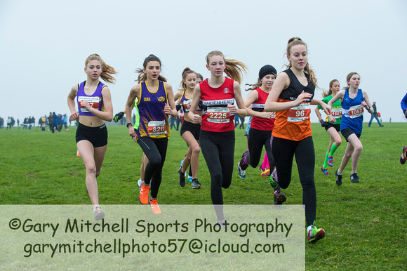Chiltern League X Country, Luton _ 346066